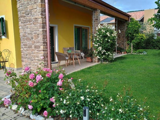 Immagine WhatsApp 2024-05-07 ore 18.03.33_74662040