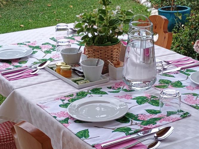 Immagine WhatsApp 2024-08-24 ore 16.22.48_d4e29eba