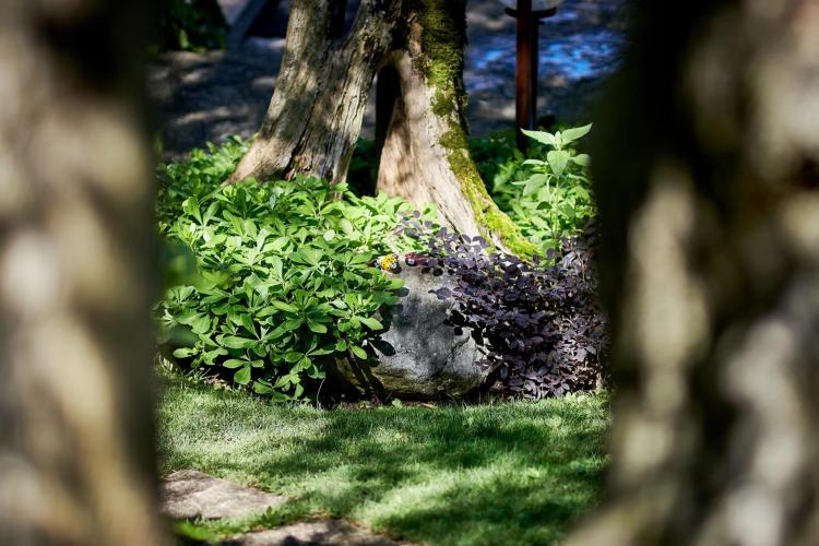 Mariu 2018 - IDS_3288 B (Web 2048)