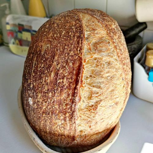 IMG_20210503_144036_252