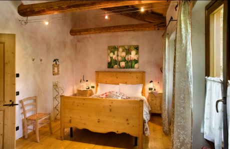 0819HDRCamera2 gatto.png