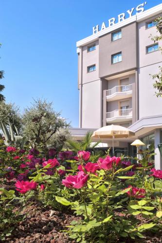 Esterno Harrys 11
