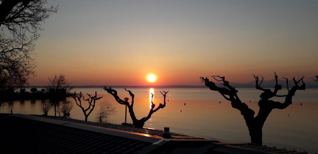 WhatsApp Image 2020-02-25 at 17.03.59