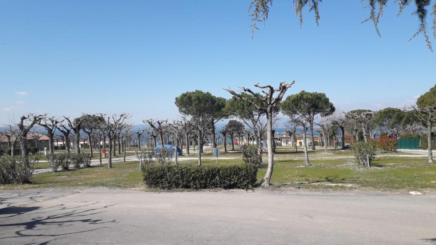 WhatsApp Image 2020-02-25 at 17.11.38