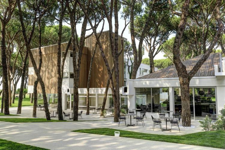 D-12-1484 - Copia - Copia - Copia