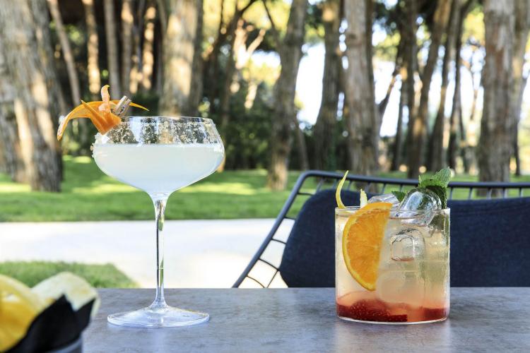 D-19-1700 - Copia - Copia - Copia