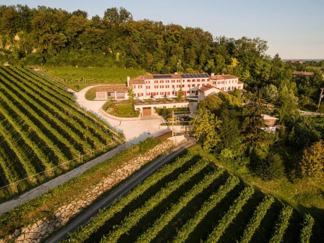 APsanteufemia1608-08250