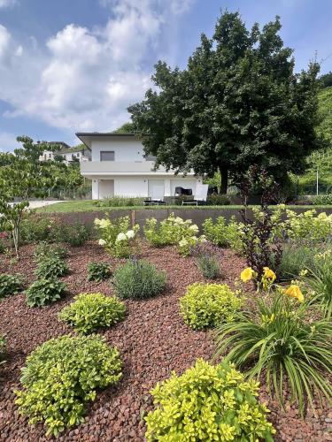 B&B EL ZHIGOL  - giardino