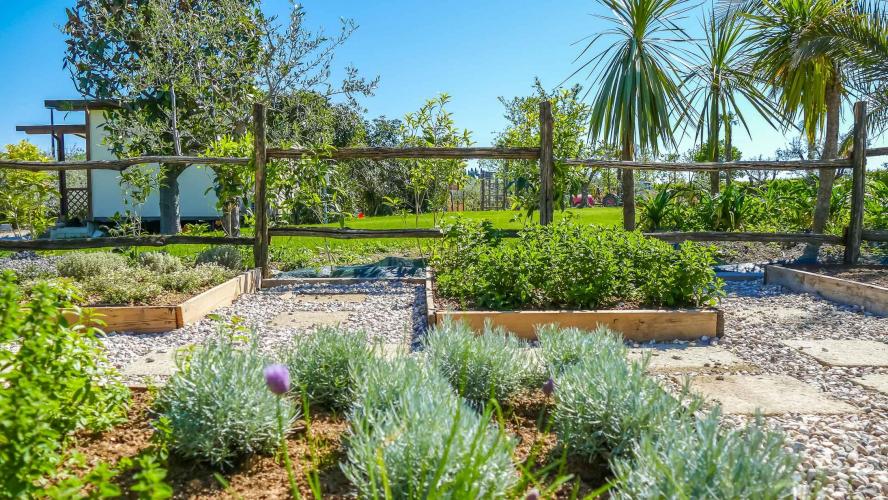 campingoasidelgarda-aromatic-garden-00