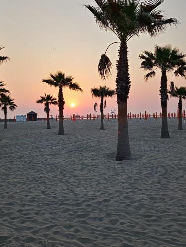 7e108c2c-43ab-47b6-b22c-4fff5e11cd3b