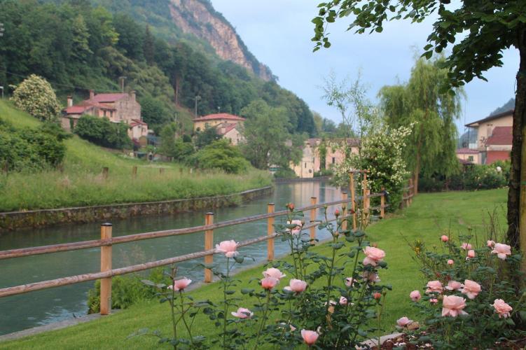 relaxing among the roses