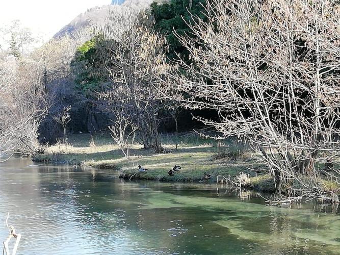 the garden in the winter