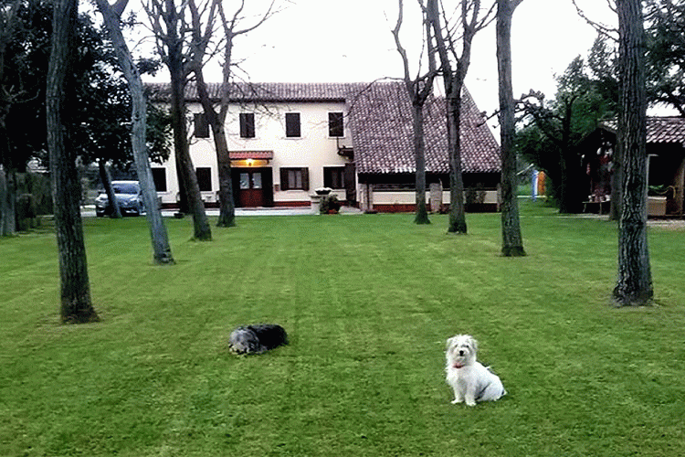 Giardino esterno Casa Bernardo