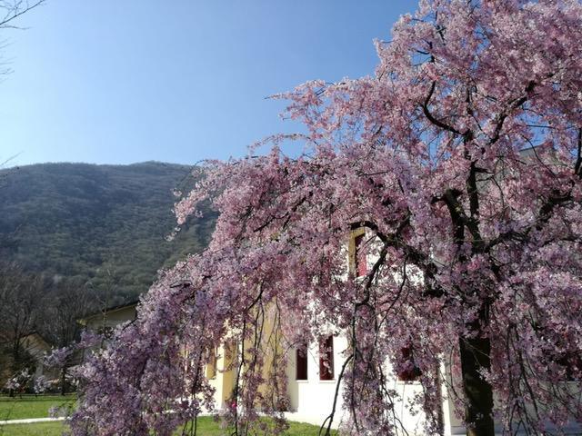 PHOTO-2019-07-17-17-09-43