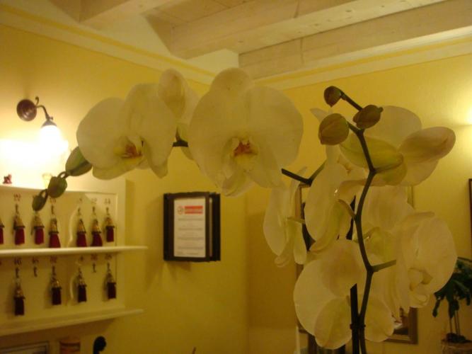 H.CAMINETTO PARTICOLARE INTERNO