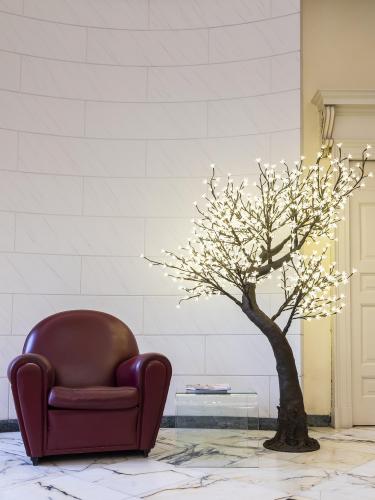 vdc_1911206005 copia