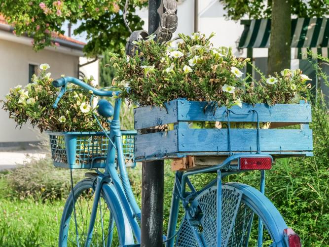 ca marcello (web)-1255211