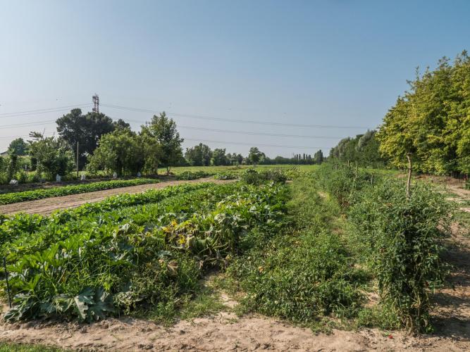 ca marcello (web)-1255225