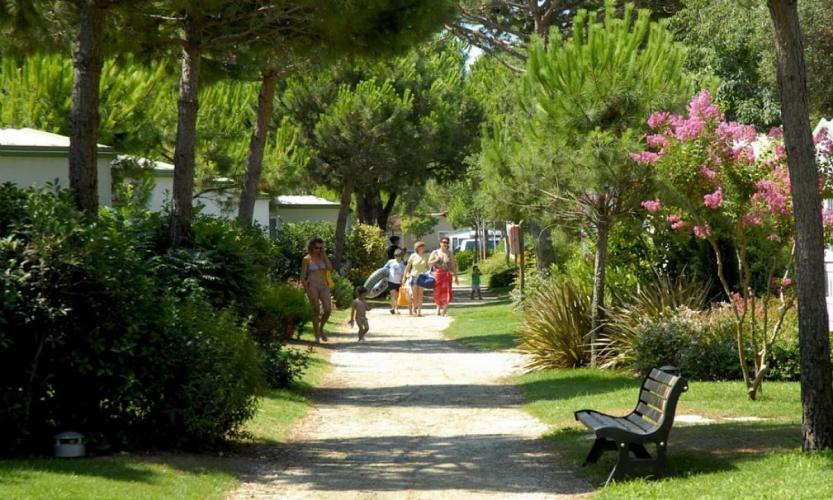 Camping Village piscina stradina verde