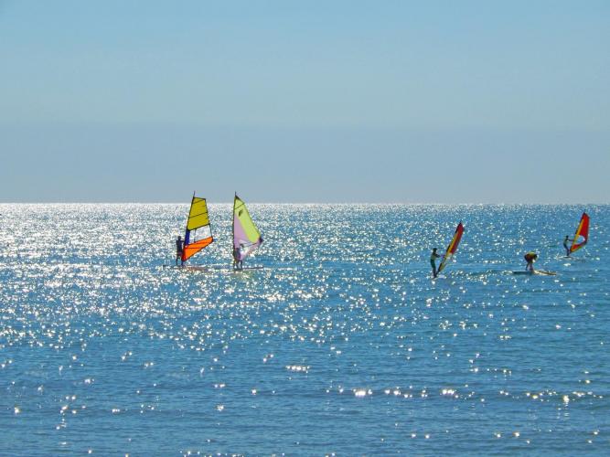 WINDSURF