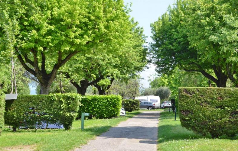 C.LA QUERCIA ESTERNO