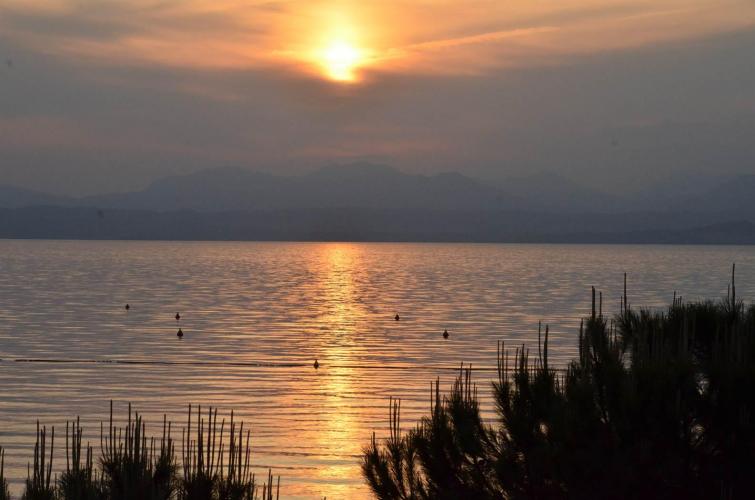 C.LA QUERCIA TRAMONTO2