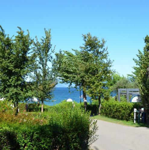 C.LA QUERCIA ESTERNO3