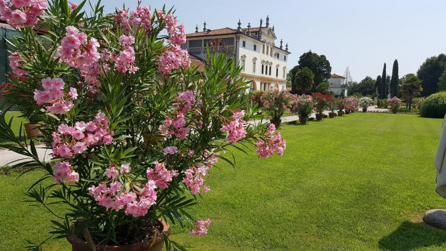 Villa Ghislanzoni Curti_01