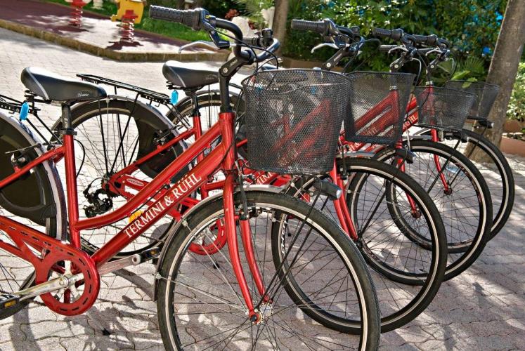 Free rental bicycles available