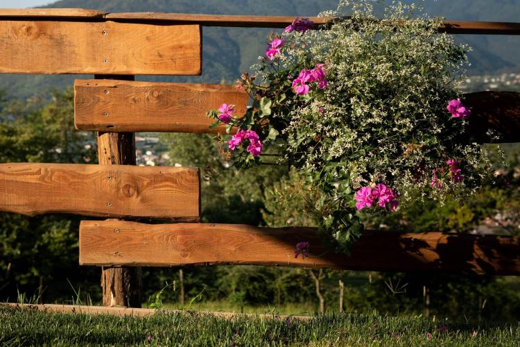 Dettaglio esterno.jpg