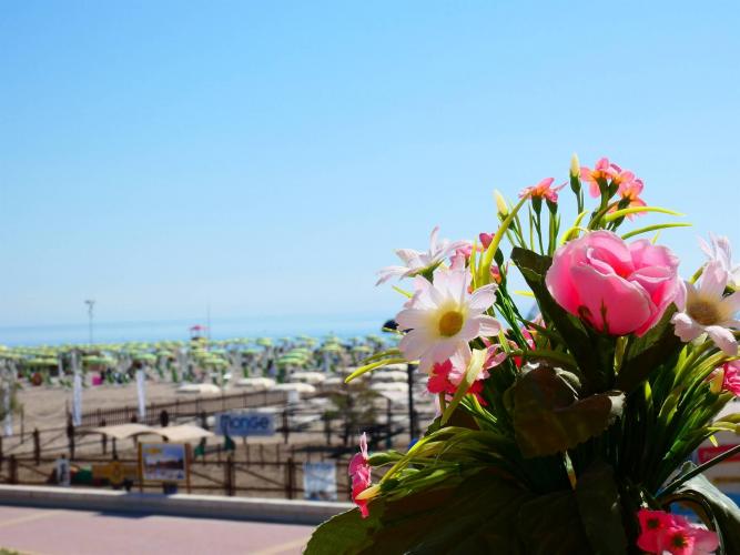 Albergo Ristorante Fiorella - Terrazza1