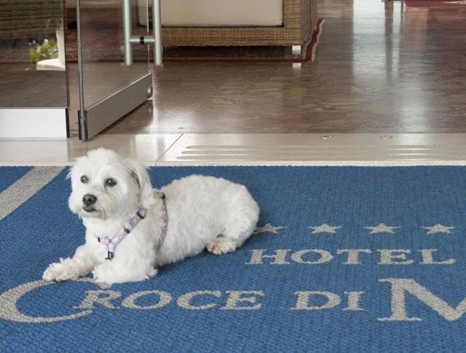 15 - Hotel pet-friendly - Hotel Croce di Malta Jes