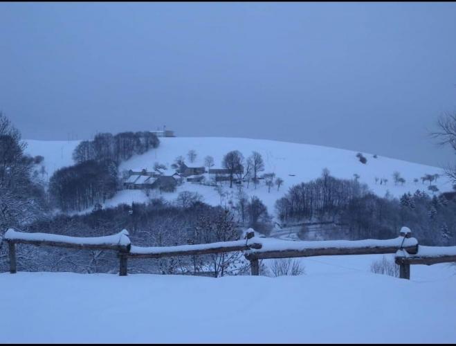 Screenshot_20220609_221023