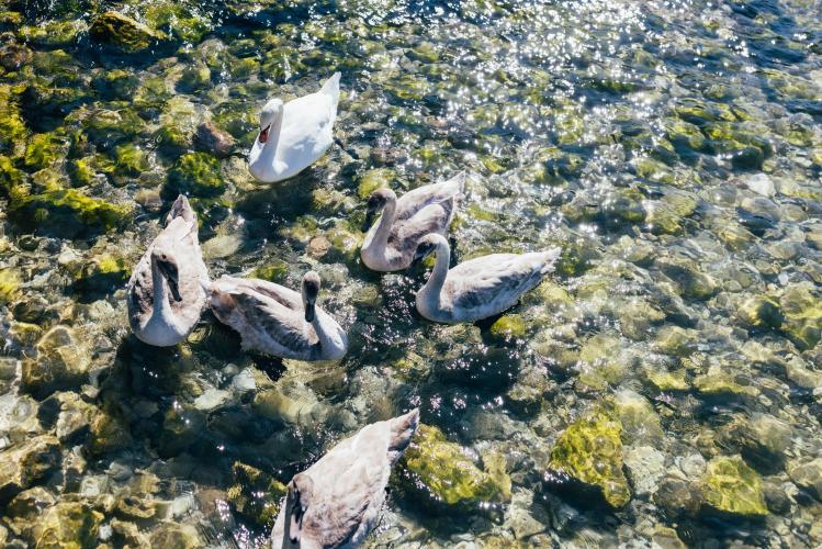 orione_2021_danielzangerl_097