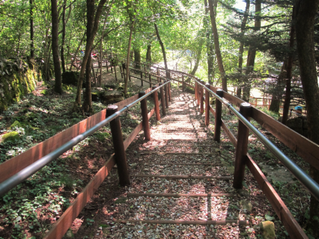 Casa Armonia percorso.png