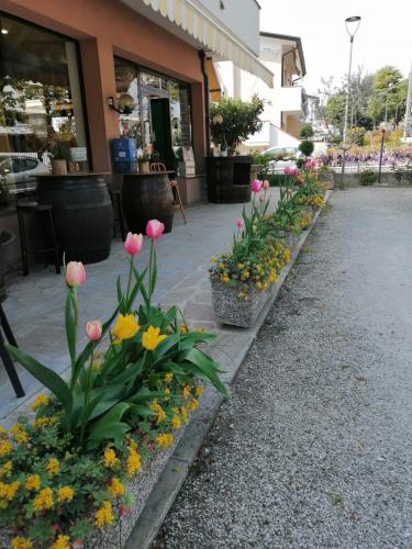 086fd80d-2832-47fd-bf8a-97ae2b506ea8