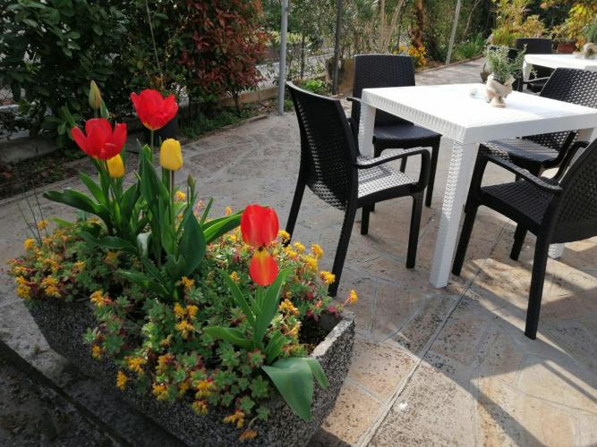 8d321d50-28ec-46e2-b65d-c6fcfa2efdd7