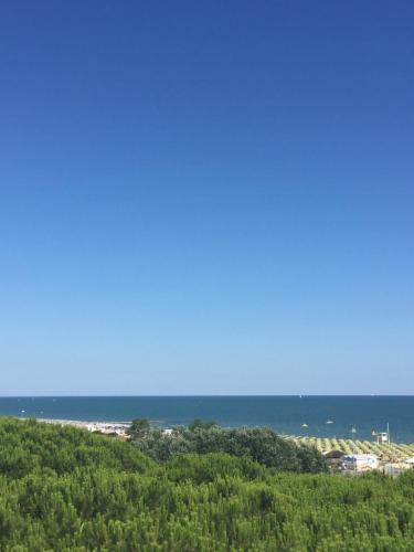 17ECF131-413F-4CE5-9A96-7E86031C946F_1_105_c