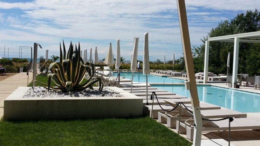 4A86ACBC-3BD6-4642-A881-A3CAD45CEE93_1_105_c