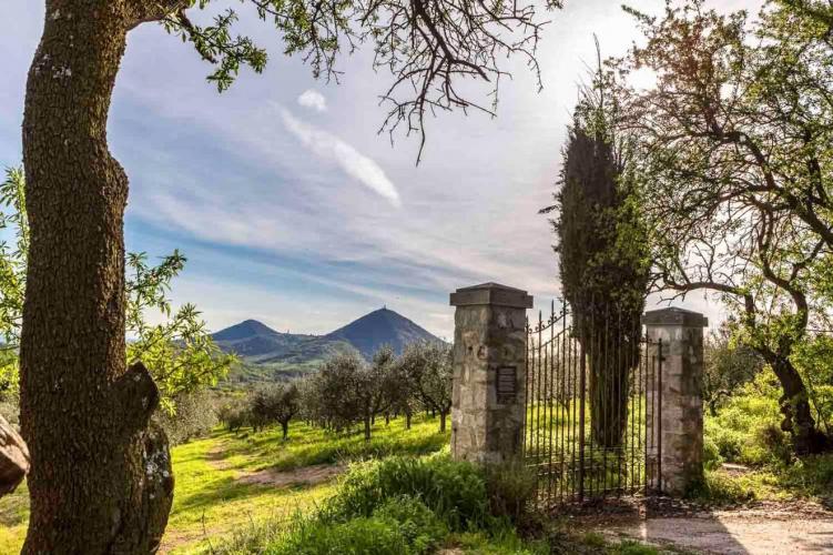 Plaza Hotel Abano Terme - Territorio Arqua Petrarc