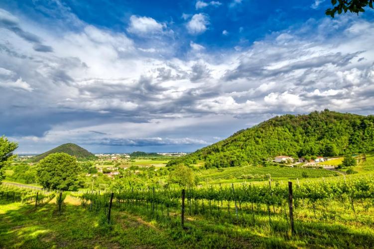 Plaza Hotel Abano Terme - Territorio Colli Euganei