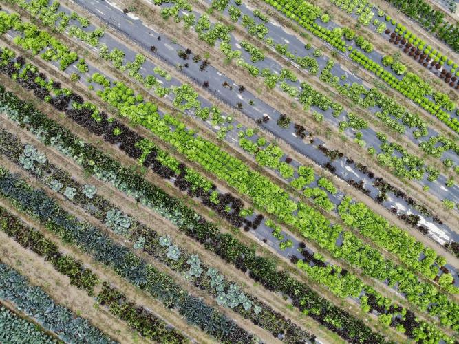 9E6D7B9CF2EFE01597F5D9CF3369C313