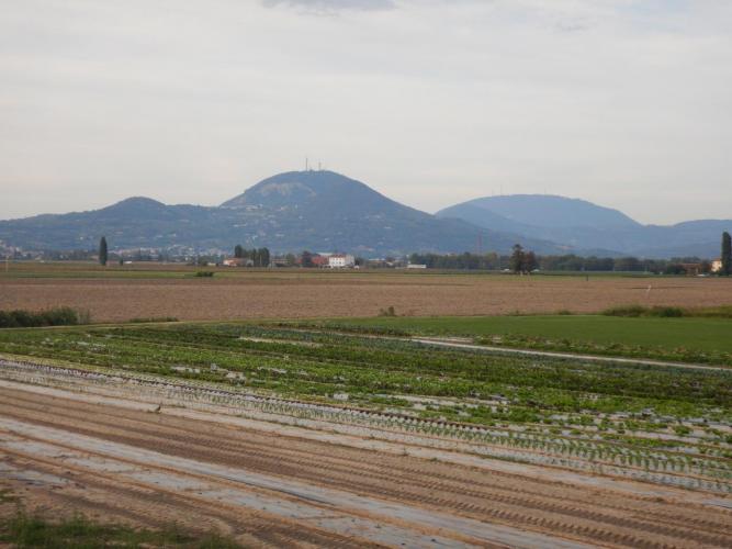 ca_vascon_out_ - 1 (1)