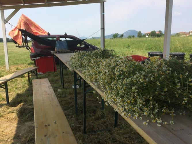 c975dbde-f036-465b-91d5-d0a37f73ab62