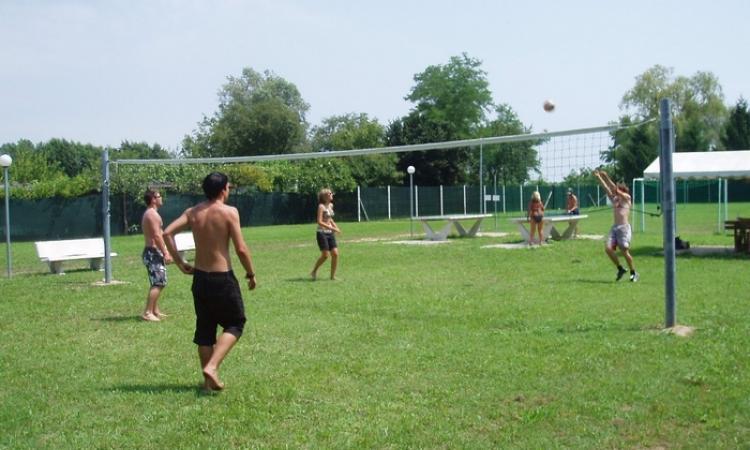 Volley