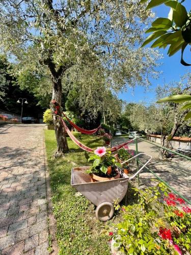 baitone alpino nature village fiori