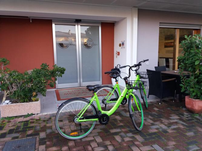 WhatsApp Image 2021-01-26 at 15.32.30