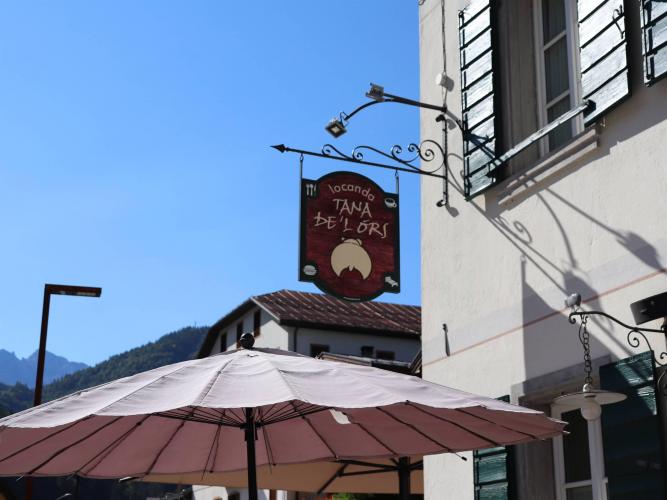 Tana de l'ors 4