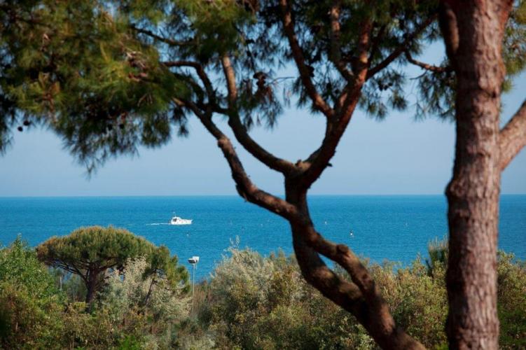 La Pineta vista sul mare.jpg