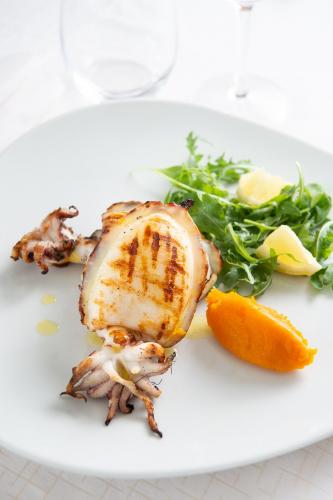 mediterraneo.ve.20-0754a